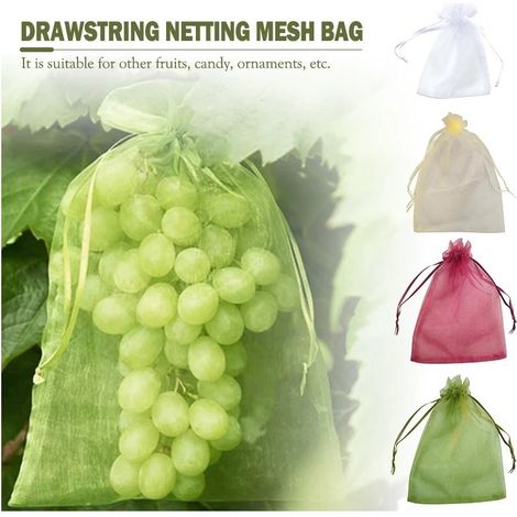 30 x 20 cm 100 pièces Sac Protection Fruits Sacs Filets Protection des Grappes de Raisins Contre Les Oiseaux et Insectes Guêpes Frelons (Vert Mousse) Google (1/5)
