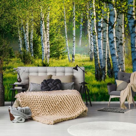 Vlies Fototapete Wald 150x105 cm, Tapeten, für Wohn und Schlafzimmer, Vliestapete Wandtapete Tapete 3D Effekt- inkl. Kleister - Birken Landschaft Natur grün, WallArena (1/4)