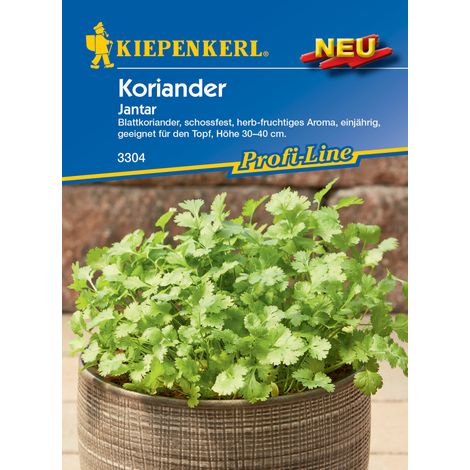 Kiepenkerl Koriander Jantar