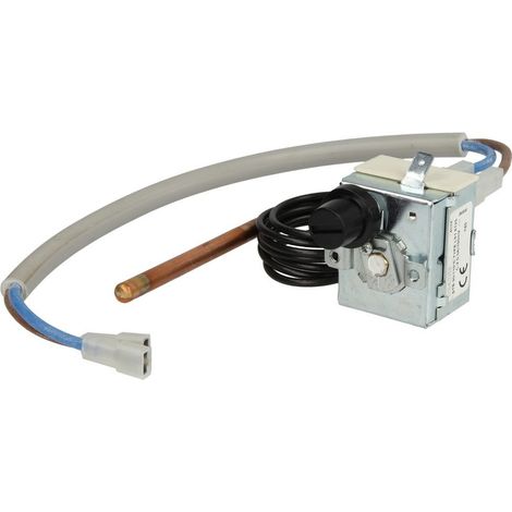 Thermostat de sécurité