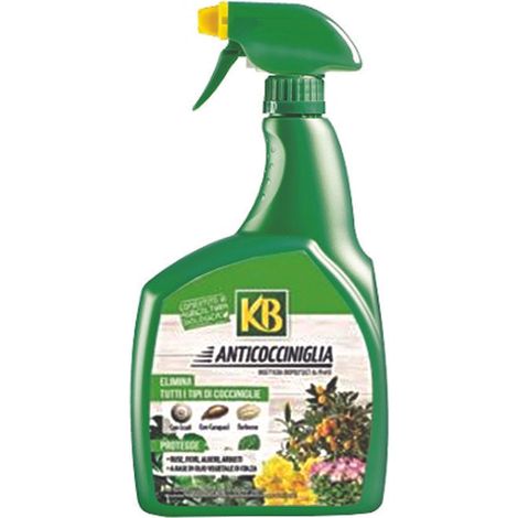 INSETTICIDA ANTICOCCINIGLIA LIQUIDO PRONTO ALL'USO- - ml.800 - 3 pezzi KB