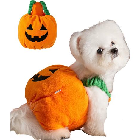 Kleines Citrouille-Kostüm für kleine Hunde und Katzen – Das Halloween-Kostüm ist für Gesellschaftstiere gedacht, das Herbstkleid muss für Tiere sein (1/4)