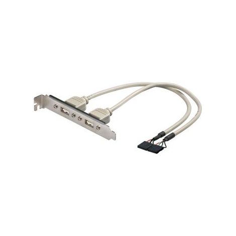 ADAPTADOR 2 X 5 PIN A USB H EWENT EW-100303-002-G-P