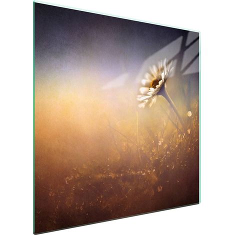 Protezione in vetro per piano cottura 50x52 cm con motivo floreale (1/5)