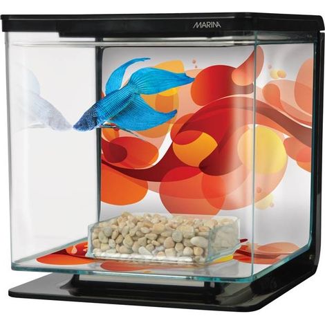 Kit Marina Betta - Sun Sunwirl