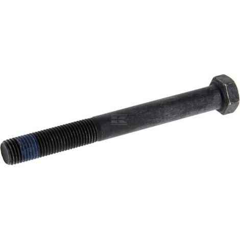 Vis BRIGGS & STRATTON 705032 (1/2)
