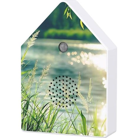 BelleRise - Boîte à chants d'oiseaux, lecteur sons nature, bruit blanc et relaxation avec minuterie pour maison, jardin, chambre, salle de bain (1/5)