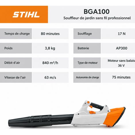 Souffleur de feuilles BGA100 à batterie lithium avec une batterie 6 A en PE PVC 30 × 35 × 48 cm 5 g – Livraison gratuite
