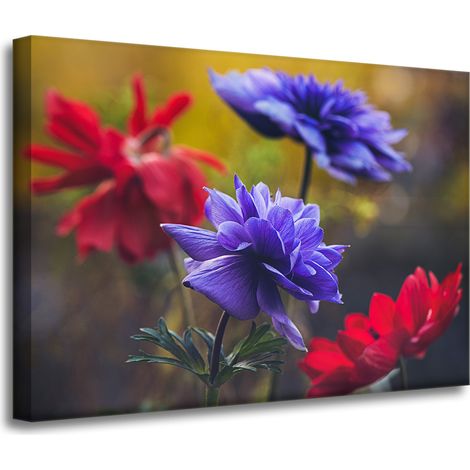 Leinwanddruck Botanik Wildblumen 70x50 cm
