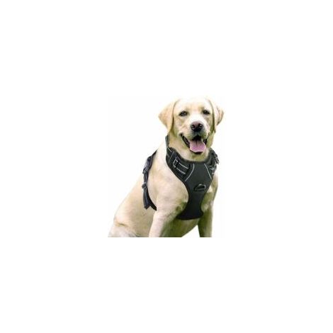 Noir XL Harnais Chien Anti Traction, Arnet pour Chien Facile à Mettre Harnais Réfléchissant Réglable avec Attache Devant Harnais pour Chien Moyen