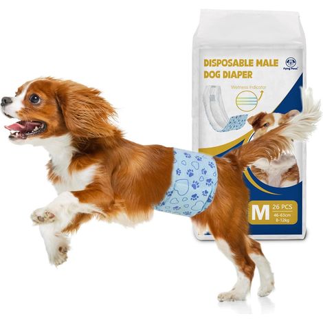 26 Couches Jetables pour Chien Mâle M, Indicateur d'Humidité Culottes Hygéniques Super Absorbantes, Bandes Ventrales Anti-Fuites (1/5)