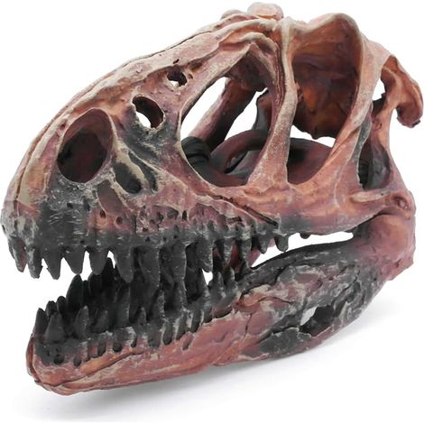 Dinosaure Crane Décoration D'Aquarium Décor Decoration Statues Halloween Tete De Mort Decoration Deco Crâne Terrarium Squelette Paysagère pour Aquarium (1/3)