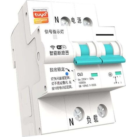 Disjoncteur intelligent Tuya WIFI temporisé 63 A 2P
