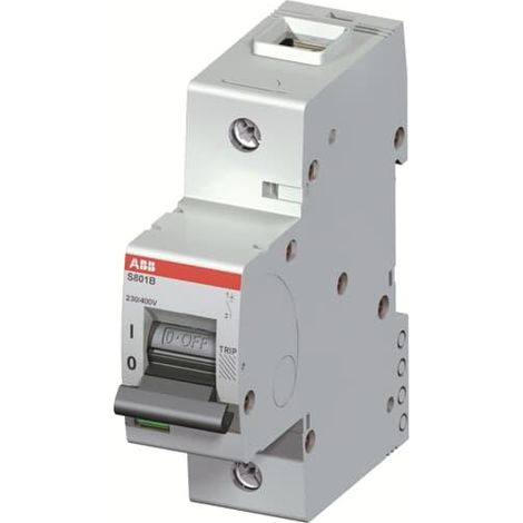 DISJ. 1P S801B D 125A - 16 KA 2CCS811001R0841 ABB D671177