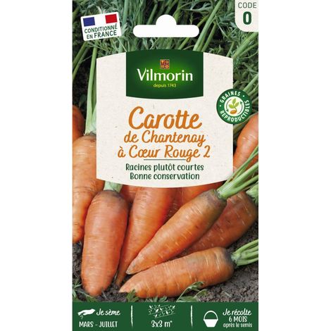 Sachet graines Carotte de Chantenay à coeur rouge 2 (1/2)