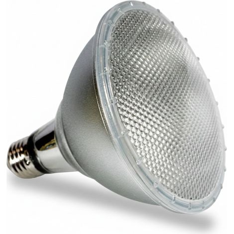 Ampoule LED PAR38 E27 12W IP65