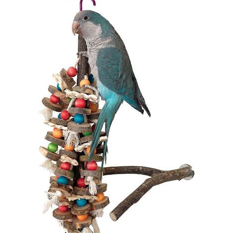 Jouet à mâcher pour oiseaux, pendentifs à mâcher en perles colorées pour perroquets et perruches (1/4)