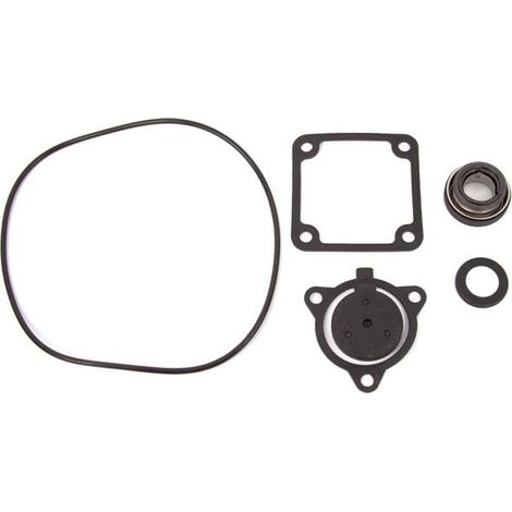 Kit de joint d'étanchéité - FUXTEC - motopompe thermique FX-WP152