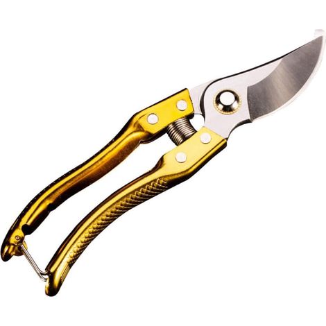 Sécateur de Jardin en Acier Carbone Sk5, Lame Droite Dorée, Coupe-fruits Robuste pour Taille des Branches D'arbres, Outil Fiable pour Jardinage (1/5)