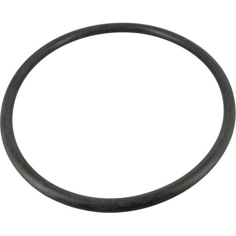 JOINT TORIQUE DE COUVERCLE 6P CE04190006 - Poolfilter Diverse - O-ringar-AquaForge (1/2)