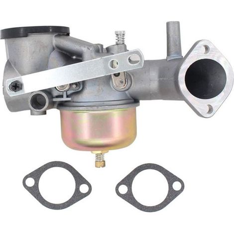 Carburateur - Pour Moteur Briggs & Stratton 491026 491031 490499 281707 - 12 HP - Pièce de Remplacement (1/5)