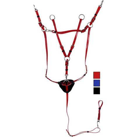 Pour en savoir plus :, Bleu 14: Daslö pvc martingale de chasse en pvc avec renfort interne en nylon