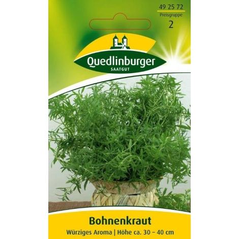 Quedlinburger Bohnenkraut - Kräutersamen (1/2)
