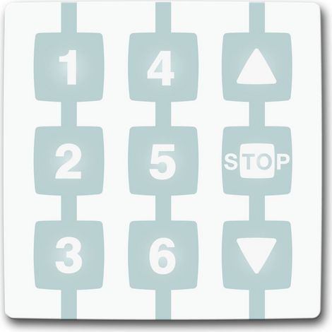 Modulo per il comando di 6 gruppi di automatismi Apre-Stop-Chiude in modalità singola o multigruppo NICEWAY WM006G NICE