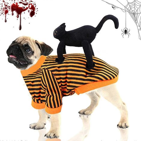 Vêtements d'Halloween pour chiens, Halloween pour animaux de compagnie, Costumes d'Halloween pour chats et chiens, Costumes de fête d'Halloween pour chiens, Costumes d'Halloween pour animaux de compag (1/5)