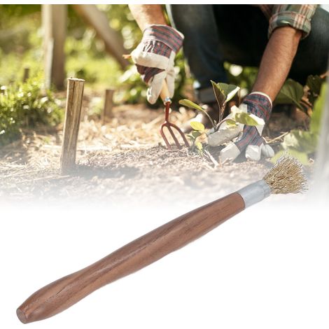 Une brosse métallique de 20 cm avec manche en bois est utilisée pour la préparation des bonsaïs et des plantes en pot. (1/5)