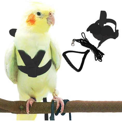 Arnés y correa para loros - Ajustable - Diseño de entrenamiento antimordeduras - Cuerda de nailon con lindas alas para loros - Adecuado para guacamayos rojos, mini guacamayos y aves similares (1/5)