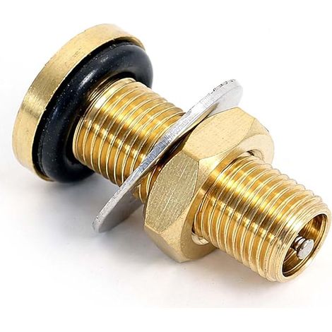 Spare Part Valve for 24-100L Bladder Tank (1/5)