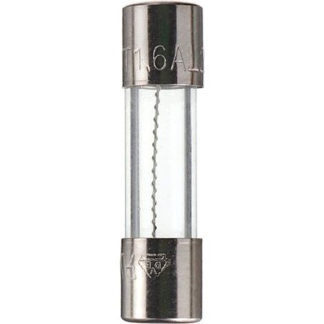 20 pièces T1.6AL250V 5x20 mm 1.6A 250V Fusibles à action lente 1.6 Ampère 250 Volt 0,2 x 0,78 pouce Fusible temporisé pour tube de verre (1/4)