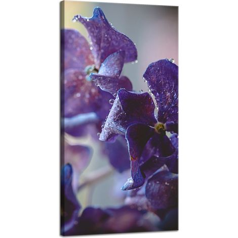 Impression sur toile Botanique Fleur d'hortensia 40x80 cm