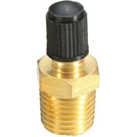 Valvola per serbatoio da 1/4" NPT, valvola Schrader in ottone anticorrosione con attacco maschio NPT da 1/4". (1/5)