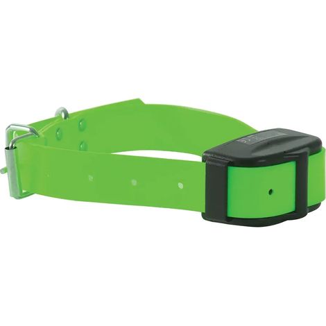 Collier Supplémentaire pour DT2000 en nylon vert (1/2)
