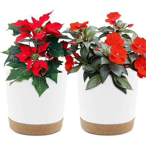 Lot de 2 pots de fleurs de 16 cm, pots d'intérieur avec trous de drainage et base amovible, soucoupe décorative moderne pour pots d'extérieur (blanc 16 cm) (1/5)