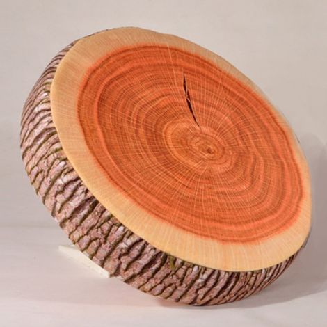 Irovami Coussin rond en forme de souche de fruit, en peluche, motif tranche 3D, ginkgo, orange, pastèque, amovible et lavable (Coussin Arbre Ginkgo, diamètre 39 cm, épaisseur environ 7 cm) (1/5)