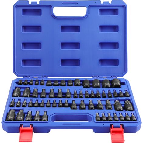 WORKPRO Chiavi a Bussola Torx da 60 Pezzi, 1/4", 3/8", 1/2" Attacco, T6-T70, TT6-TT70, TP8-TP60, E4-E24, con Scatola di Conservazione (1/5)