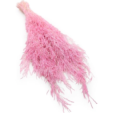 Flor temblorosa seca - (Briza Segromigno) - Rosa claro
