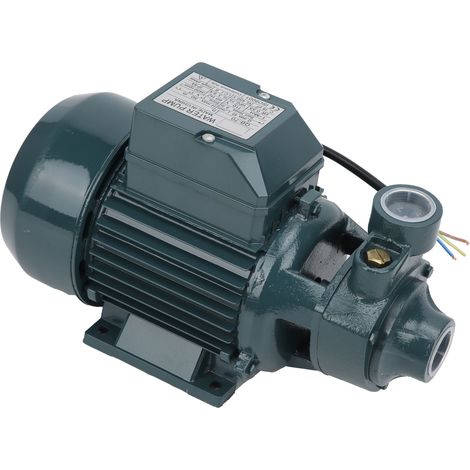 Pompe Ă eau propre compacte et portable pour l'irrigation domestique, agricole et de jardin QB70 550W 45L/min AC110V (1/5)