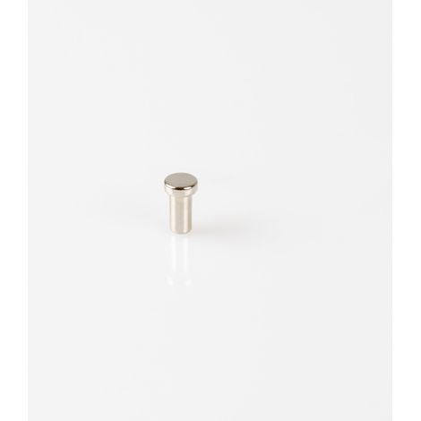 Magna-C Microdym Ø4x10mm aus Neodym (1/5)