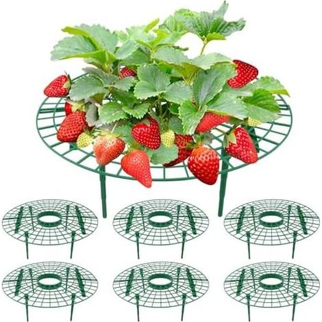 Erdbeer-Rankrahmen – Set mit 6 abnehmbaren Stützen für Erdbeerpflanzen, 30 x 10 cm (1/5)