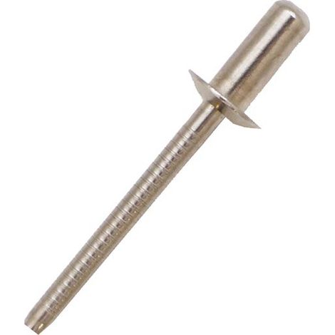 Rivet Acier InoxydableA2 304 Gris longueur 8mm diamètre 3.2mm ( Prix pour Sachet de 100 )