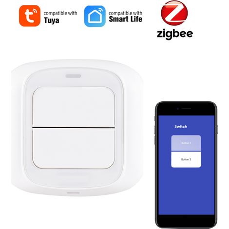 Bouton-poussoir double interrupteur intelligent pour la domotique DIY, la liaison de scènes via une application, la commande à distance d'un interrupteur intelligent pour appareils électroménagers. (1/5)