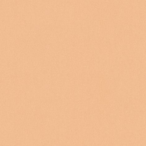 BRICOFLOR Papier peint Orange / Terre cuite Couloir Cuisine Chambre (à coucher) Salon - 10,05 x 0,53 m (1/5)