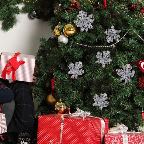 Decorazioni natalizie: stelle di Natale artificiali con glitter argentati, rami fioriti, rami di abete, decorazioni per feste di Natale. (1/4)