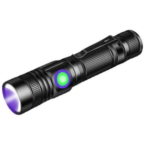 BUNTHAUS Lampe Torche Lampe Torche UV Lumière Noire 395nm rechargeable Wood's lampe, Blacklight Ultraviolet Portable Mini Torch LED avec clip, Ensoleillé (1/5)