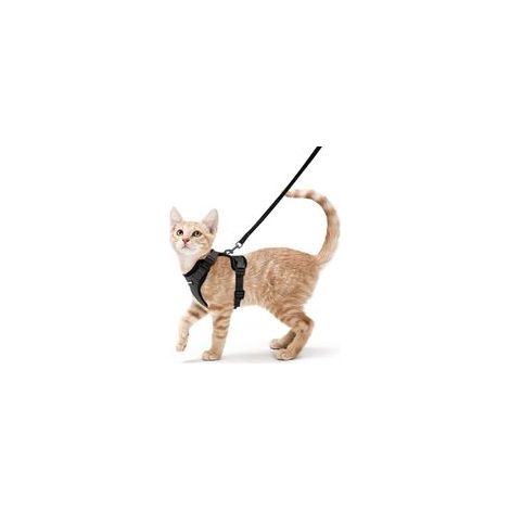 Harnais Chat Petit Chien Laisse Harnais Chaton Réglable Noir S Collier Harnai Chat Refléchissant Gilet Respirant pour Lapin, Chat Européen, Maine Coon, Persan, Attache Dessus avec Laisse