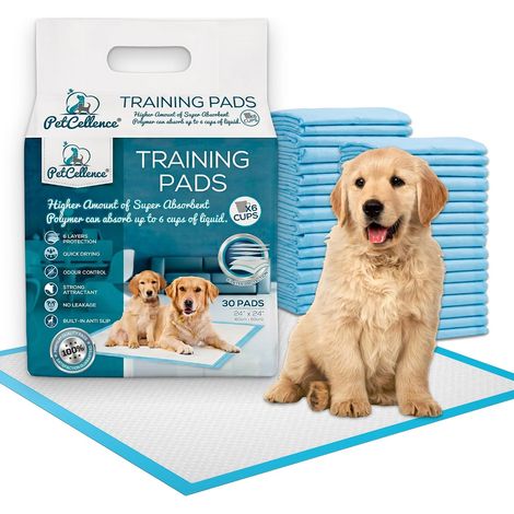 Alaise pour Chien Lot de 30 - Grande 60x60 cm Ultra Absorbant Tapis Educateur Chien, avec Bandes Adhésives Antidérapantes - Protection à 6 Couches - Alese Jetable pour Chiens et Chats (1/5)